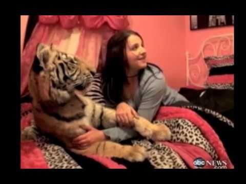 Fuck beautiful tiger