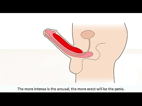 best of Orgasm explained male