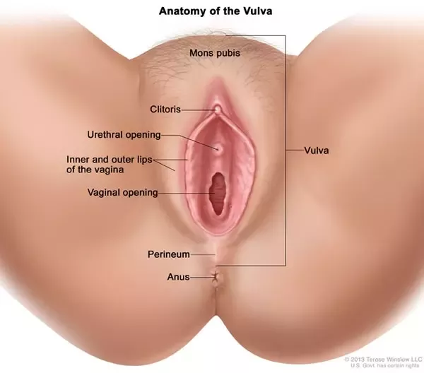 Lock S. recomended right hole vaginal