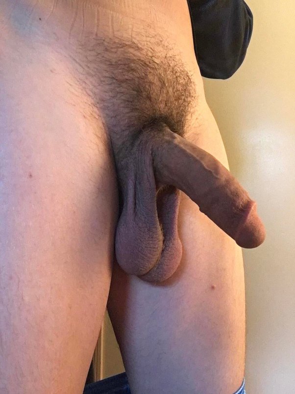 Male genitals force shaved free