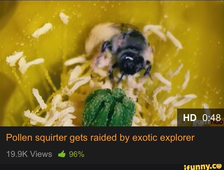 Pollen squirter gets raided exotic