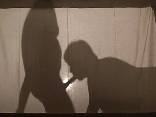 Lovers fucking shadow