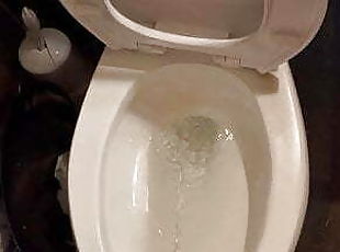 Reverse toilet squatting piss